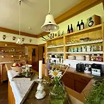 Moeslehnerhof 3* رامساو أم داتشستين