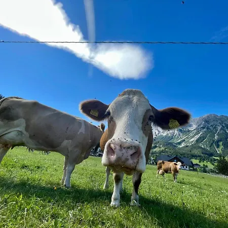 Hotel Moeslehnerhof Ramsau am Dachstein