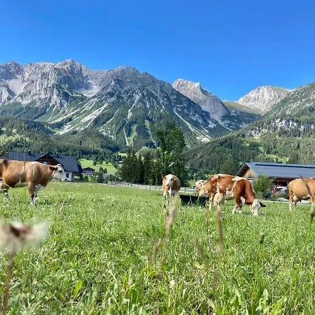 فندق Moeslehnerhof رامساو أم داتشستين