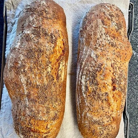 Moeslehnerhof رامساو أم داتشستين