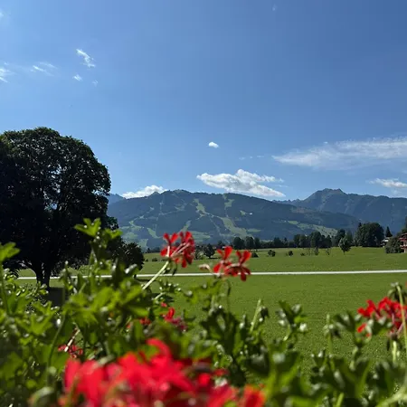 ホテル Moeslehnerhof 3*