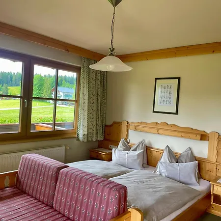 Moeslehnerhof 3* ラムサウ・アム・ダッハシュタイン