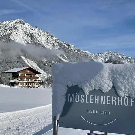 Moeslehnerhof Otel Ramsau am Dachstein