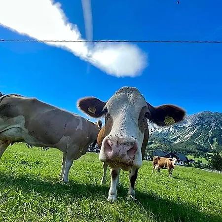 Moeslehnerhof Hotel Ramsau am Dachstein