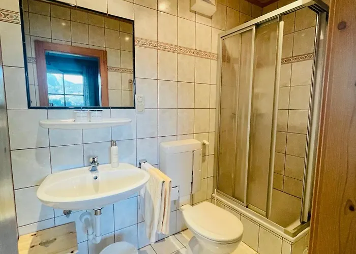 Otel Moeslehnerhof Ramsau am Dachstein